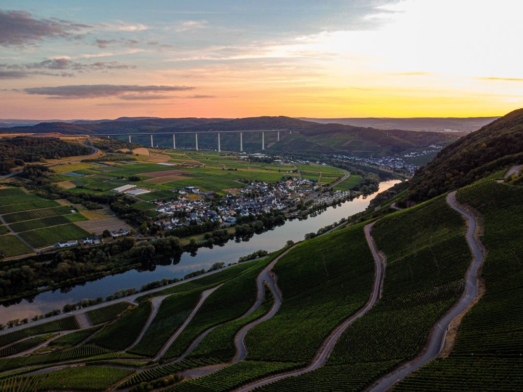 Vinmarker i Mosel